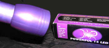 Scorpion Hunter UV flashlight