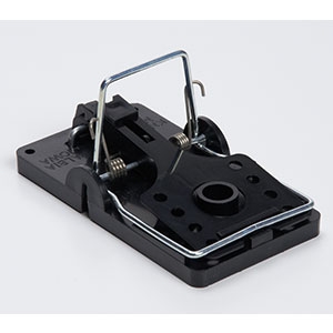 Kness Big Snap-E mousetrap