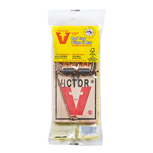 Victor M4 rat trap